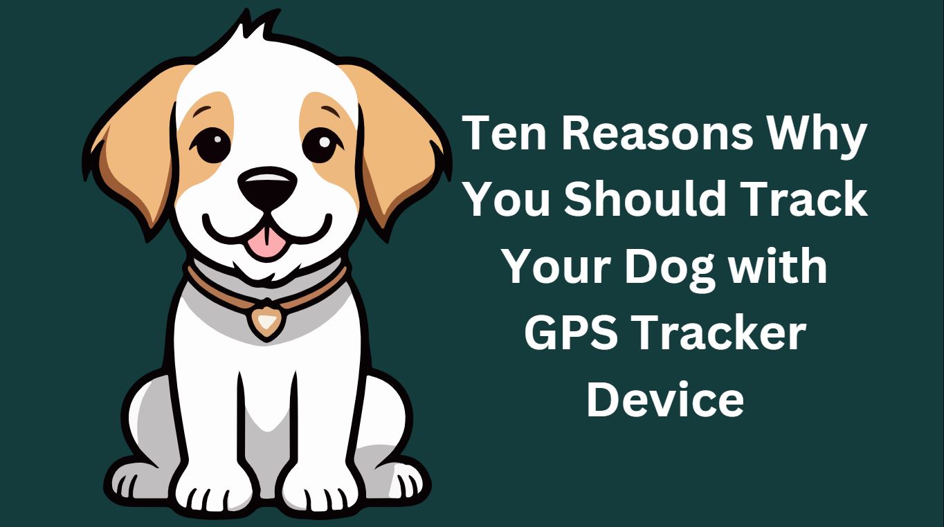 Ten Reasons Why You Should Track Your Dog with GPS Tracker Device