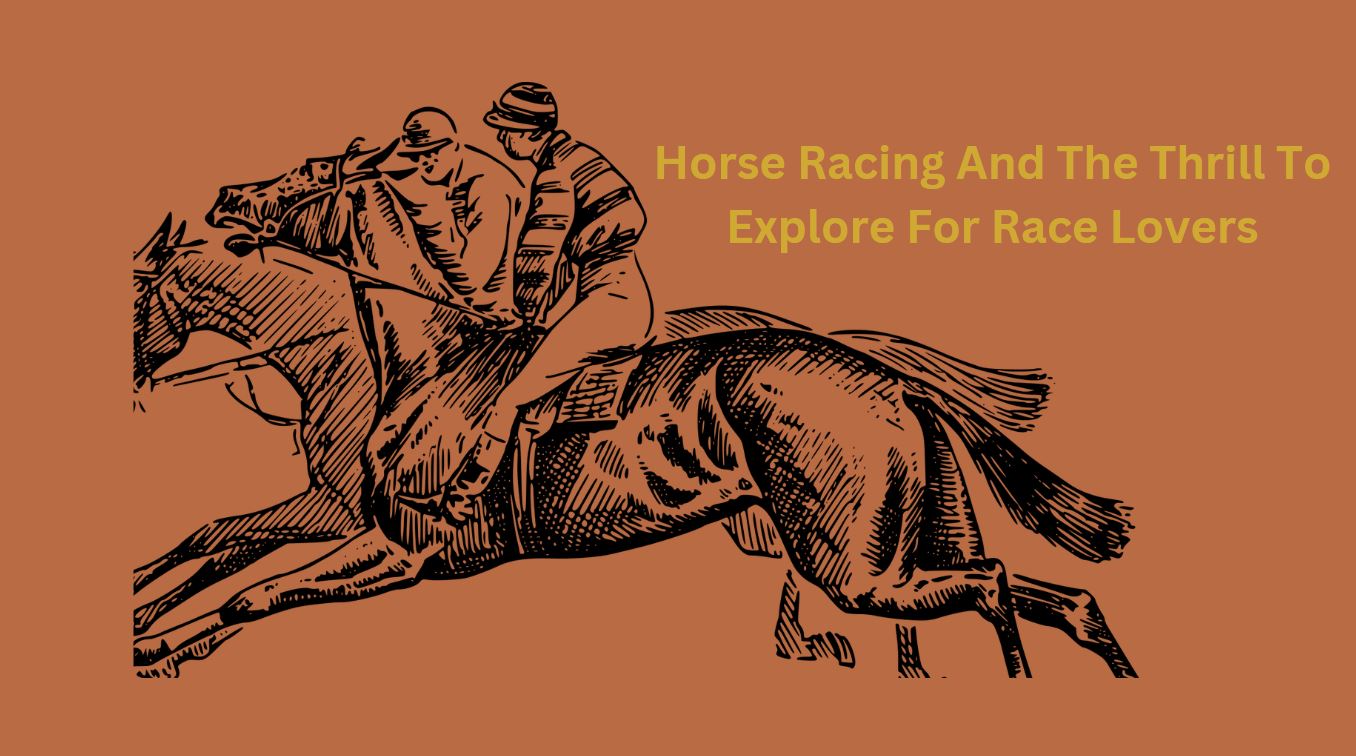 Horse Racing And The Thrill To Explore For Race Lovers