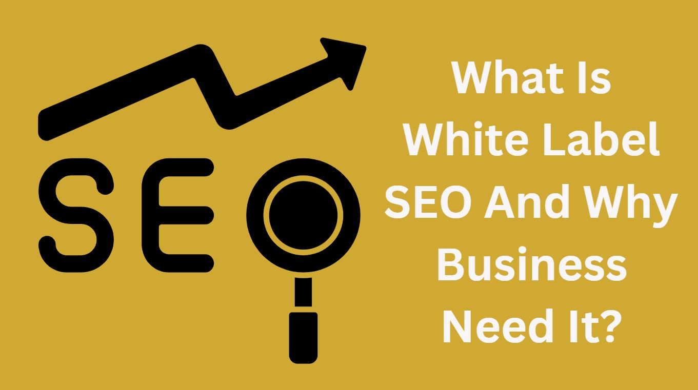 What Is White Label SEO And Why Business Need It?