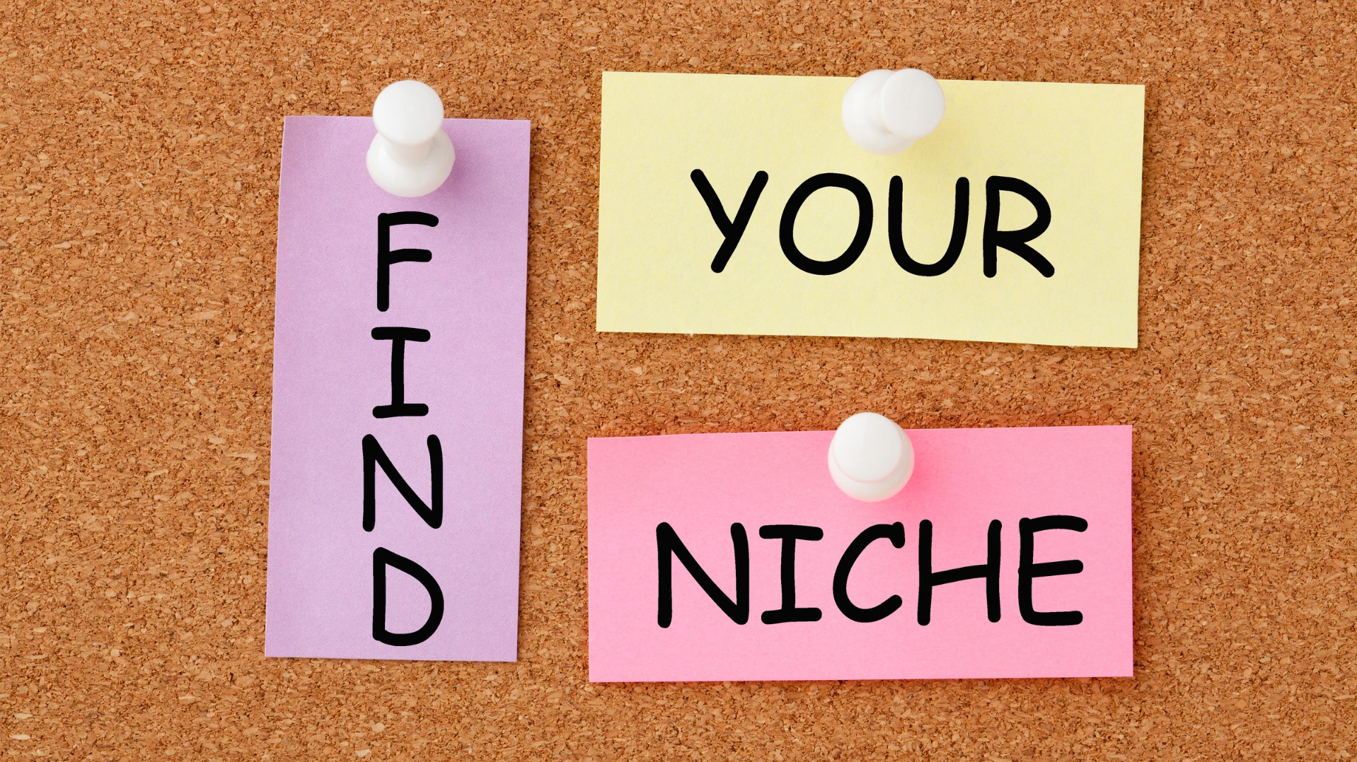 How to Choose a Niche for Your Blog