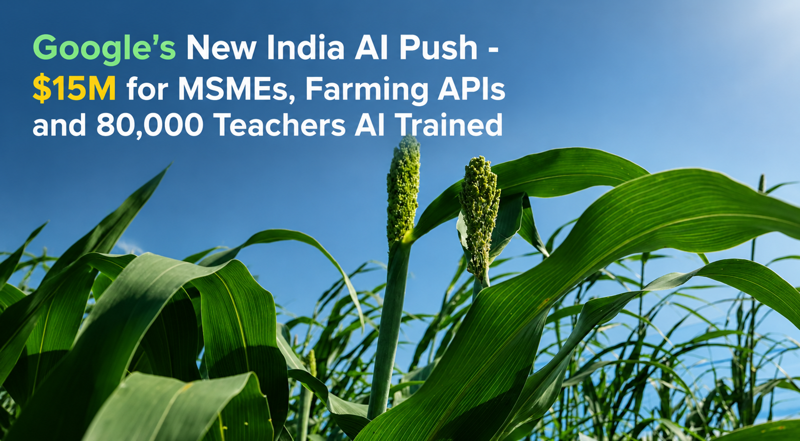 Google’s New India AI Push - $15M for MSMEs, Farming APIs and 80,000 Teachers AI Trained